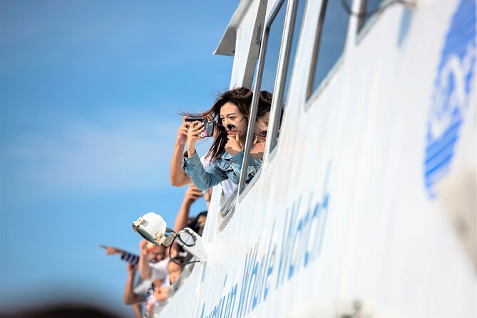 Boston Whale Watching Cruise by High-Speed Catamaran - Traveler Recommendations and Tips