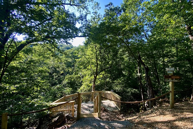 Branson Cart Adventures - Guest Experiences