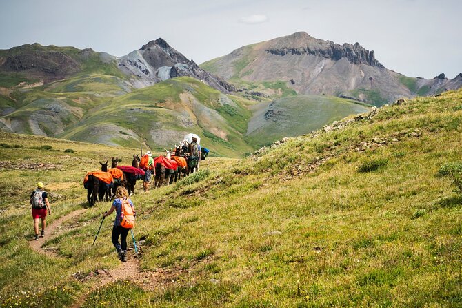 Bridger Teton Llama Treks - Preparing for Your Trek