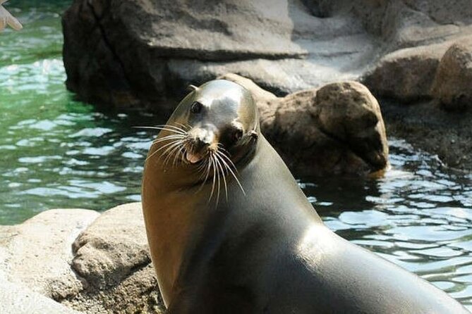 Bronx Zoo Admission Ticket - Animal Conservation Efforts