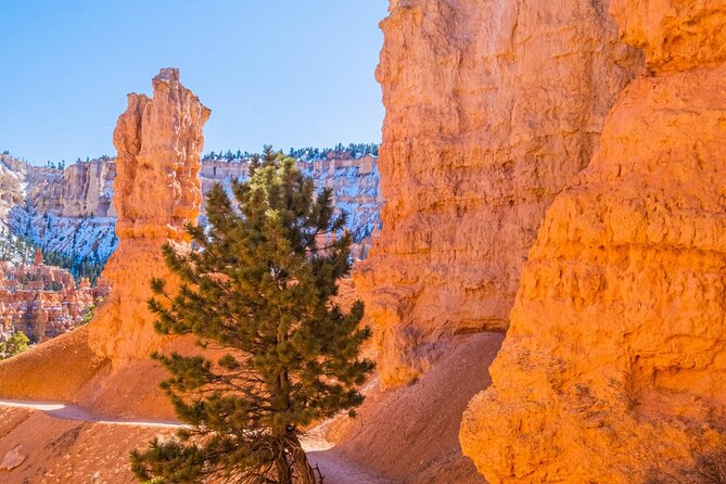 Bryce Canyon and Zion National Park Tour in Las Vegas - Meeting Points and Pickup