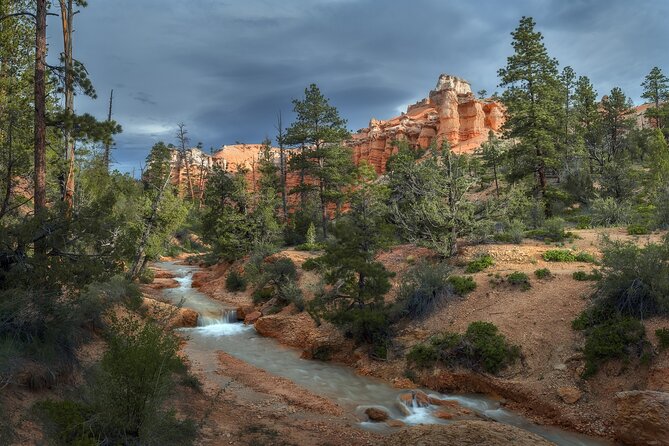 Bryce Canyon Photography Tours - Participant Reviews