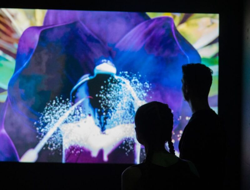 Budapest: Cinema Mystica Entry Ticket - Accessibility Features