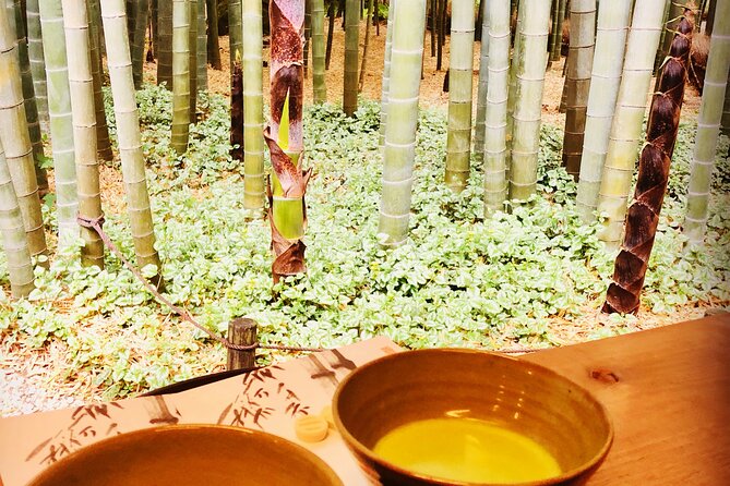 Buddha, Bamboo & Zen - Bespoke Kamakura Private Walking Tours - Guest Recommendations and Feedback