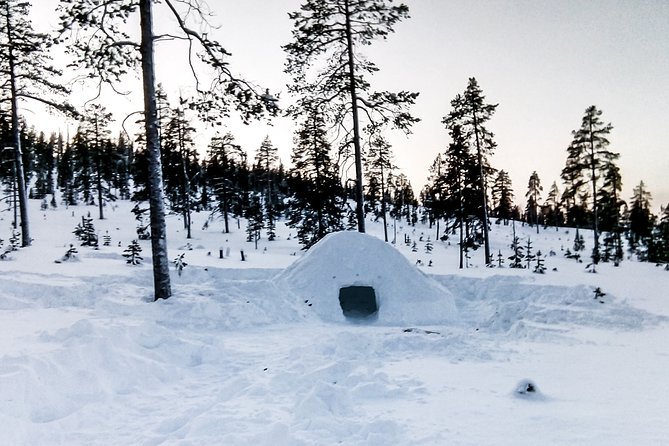 Building a Snow Igloo From Kemi - Meeting Point and Schedule