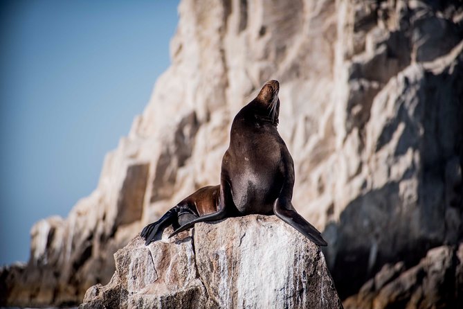 Cabo Wildlife SAFARI - Meeting Point and Pickup Details