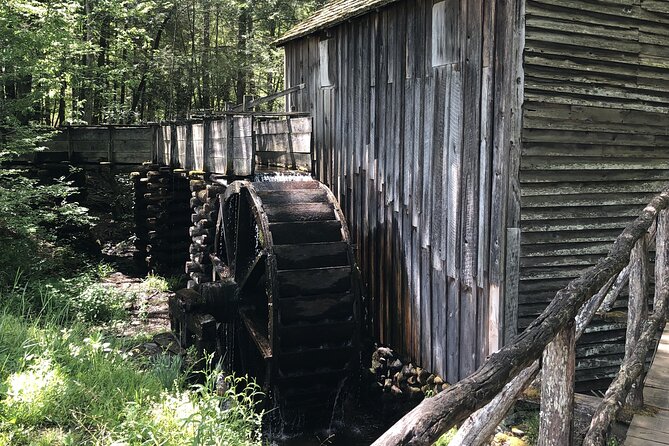 Cades Cove Jeep Tour Review: An Adventure Awaits - Tour Guide and Experience