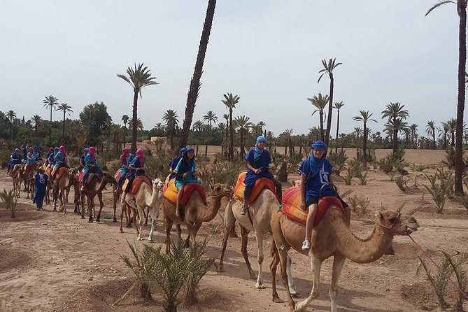 Camel Ride Adventure For Everyone - Pickup and Meeting Location