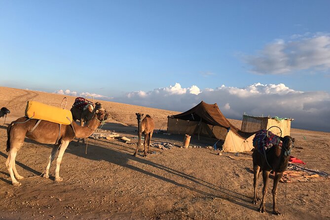 Camel Ride at Agafay Desert - Preparing for Your Camel Ride