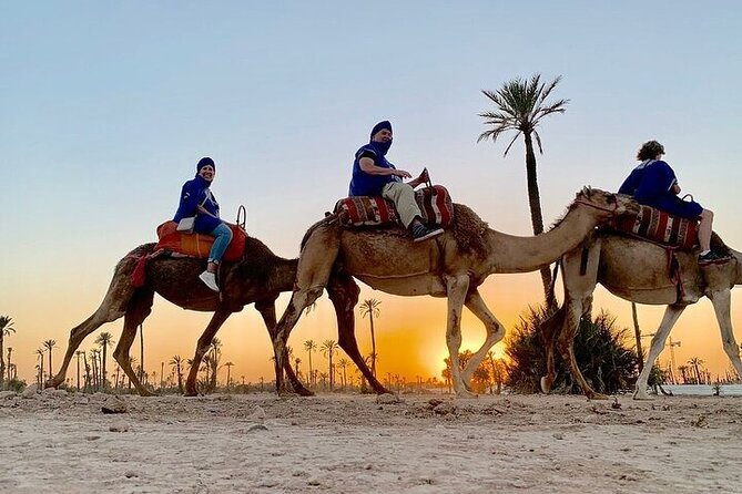 Camel Ride in the Palm Grove of Marrakech - Accessibility Information