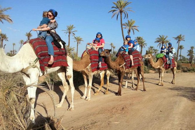 Camel Ride Marrakech - Traveler Reviews and Feedback