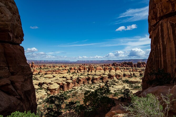 Canyonlands Needles Chesler Park Hiking Tour Review - Health and Safety Considerations
