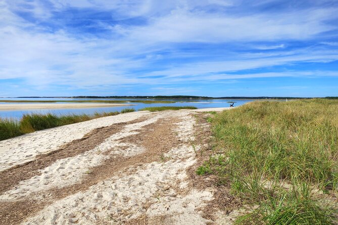 Cape Cod Self-Guided Driving Audio Tour - Accessibility and Cancellation Policy