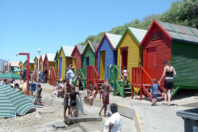 Cape of Good Hope and Penguins Viewing Private Tour - Pickup and Schedule
