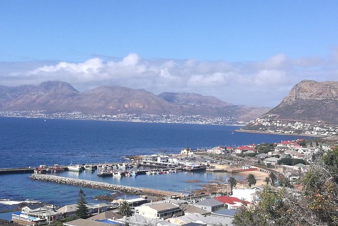 Cape Peninsula Tour - Pricing Information