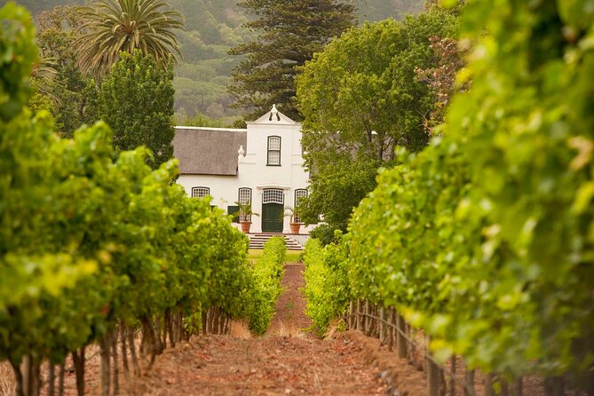 Cape Town: Winelands Private Half Day Tour - Pickup and Accessibility