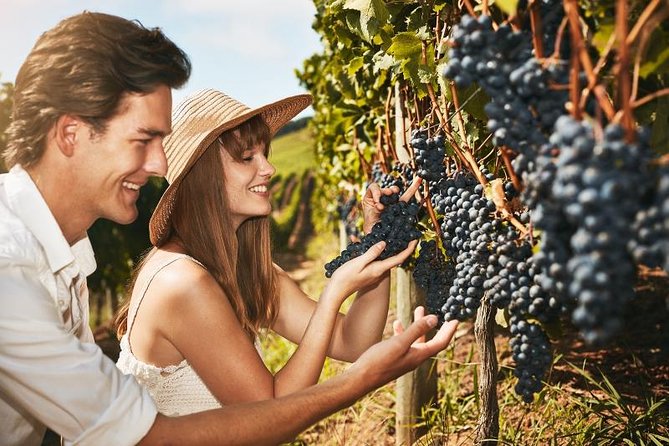Cape Winelands Guided Day Tour From Cape Town - Destinations Explored