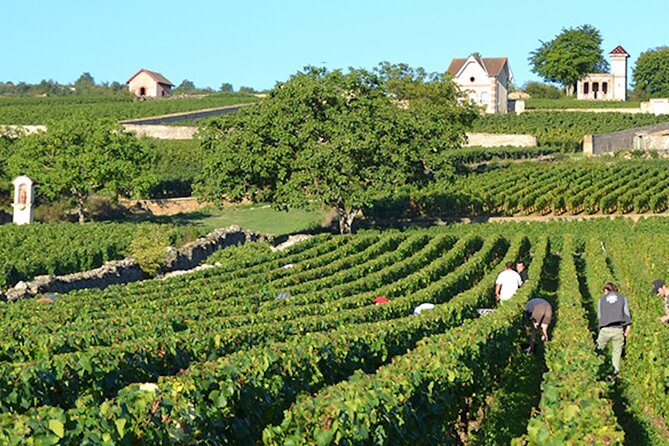 Capital City of the French Riviera Nice and the Wine Tour - Meeting and Pickup Details