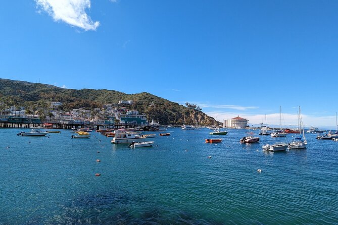 Catalina Scavenger Hunt Walking Tour and Game - Accessibility Features