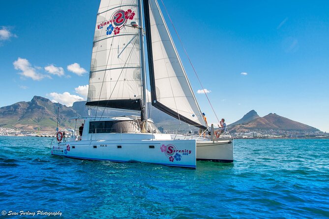 Catamaran Cruise and Sushi Experience in Cape Town - Sushi Dining Experience