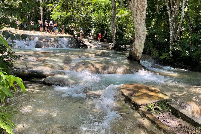 Catamaran Party Cruise To Dunn's River Falls - Traveler Requirements and Considerations
