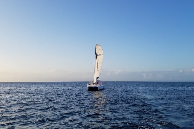 Catamaran Sailing Cruise in Monterey - Booking Information and Pricing