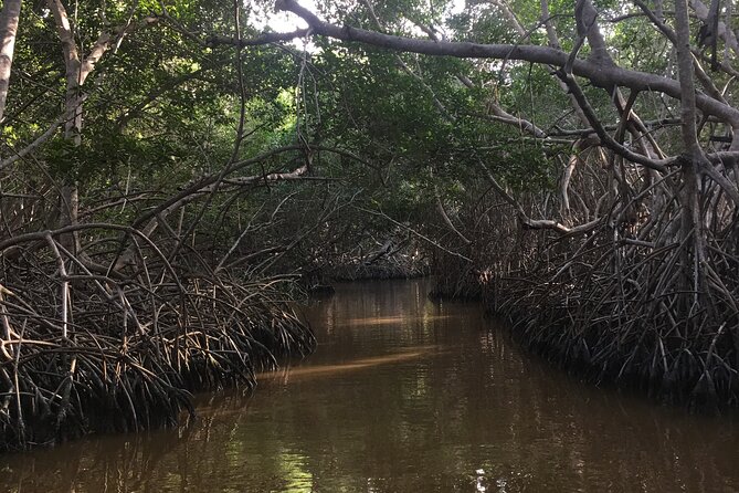 Celestun Mangrove Boat Tour From Mérida - Pickup and Meeting Points