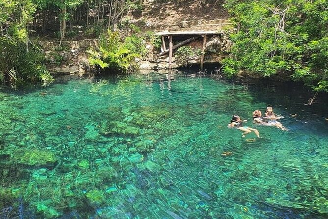Cenotes Casa Tortugas Tour - What to Expect on the Tour