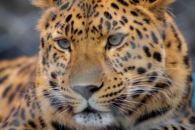 Central Florida Zoo & Downtown Sanford Review - Convenience and Accessibility
