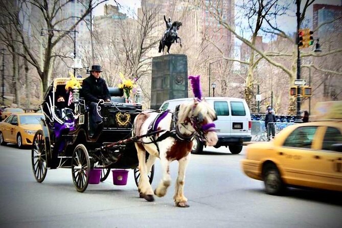 Central Park and NYC Horse Carriage Ride Review - Carriage Ride Details and Capacity