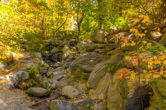Central Park Walking Tour: Scandal and Vice - Corruption, Scandal, and the Battle for the Parks Future