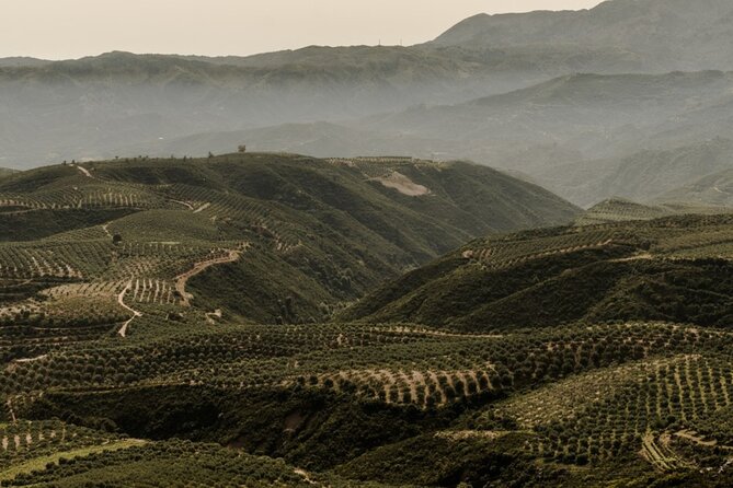 Chania Luxury Jeep Safaris: Manousakis Vineyard & Winery - Tasting the Finest Wines