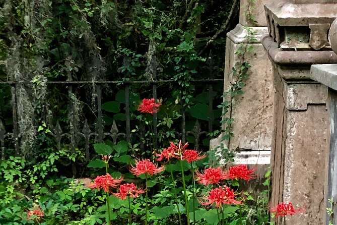 Charleston Family & Child-Friendly Nighttime Ghost Tour With Unitarian Graveyard - Accessibility