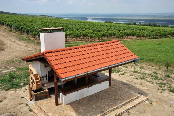 Chateau Burgozone Wine Tasting and Enchanting Danube River View - Booking Details