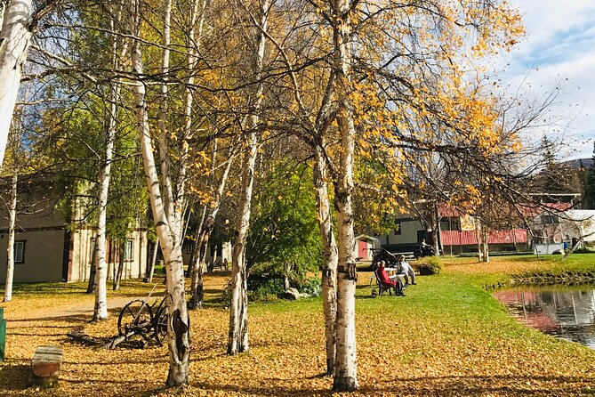 Chena Hot Spring Day Tour - Accessibility and Health Considerations
