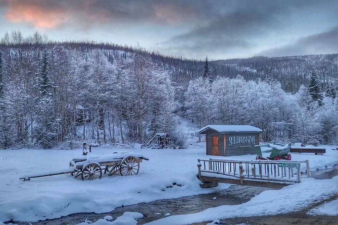 Chena Hot Springs Day Tour Review - Reviews and Feedback