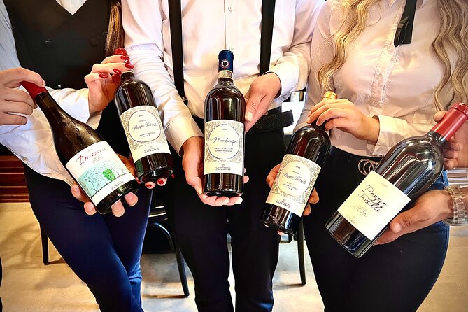 Chianti Classico - Wine Tasting Experience in Venice - Accessibility and Participation