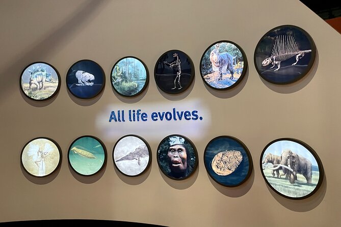 Chicago Field Museum of Natural History Semi-Private Guided Tour - Inclusions and Exclusions