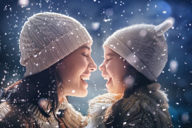 Chicago's Festive Lights: A Magical Christmas Journey - Booking and Cancellation Policies