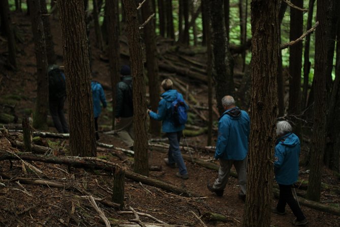 Chilkat Inlet Coastal Hike in Haines - Weather Preparedness for Hikers