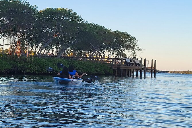 Clear Kayak Eco Tour in Jupiter, Florida - Local Ecosystem Insights