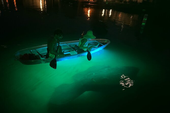 Clear Kayak Manatee Viewing Tour Review - Health and Safety Information
