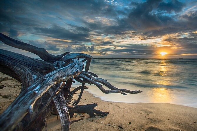 CLEAR Kayak Sunset & Light Tour - Bonita Springs / Ft Myers Beach - Booking Information