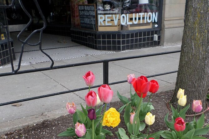 Cleveland Step on Guide - Inclusions and What to Expect