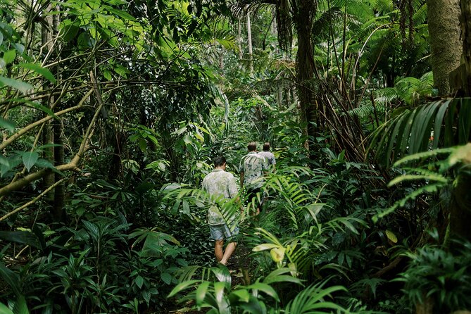 Cloud Forest Sanctuary Jungle Tour - Traveler Reviews and Feedback