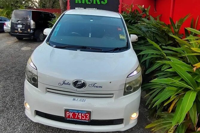 Club Night Life Round-Trip Private Transfer in Montego Bay - Booking Information and Availability