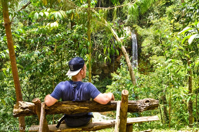 Coffee Tour Experience From Arusha - Inclusions and Pricing