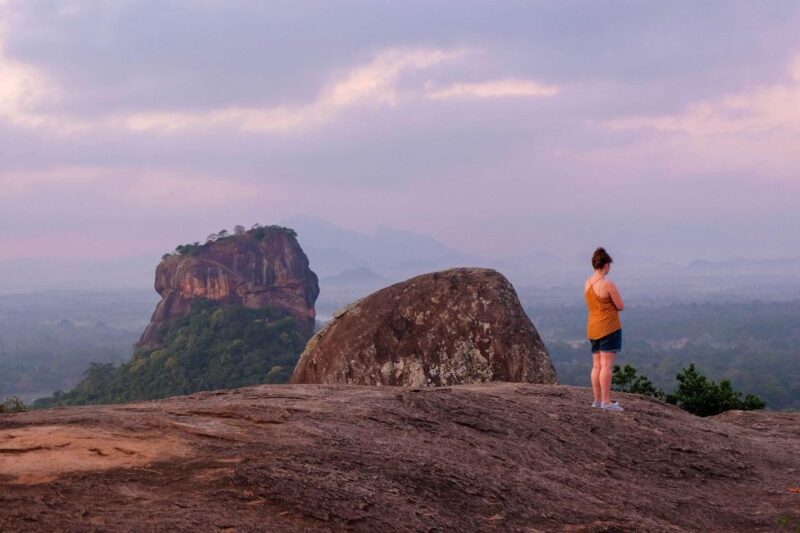 Colombo: Pidurangala and Dambulla Cave Temple From Colombo - Included Services