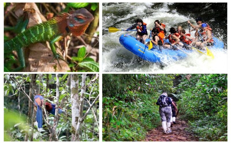 Colombo: Water Rafting, Bird Watching, Village & Rainforest - Water Rafting Experience