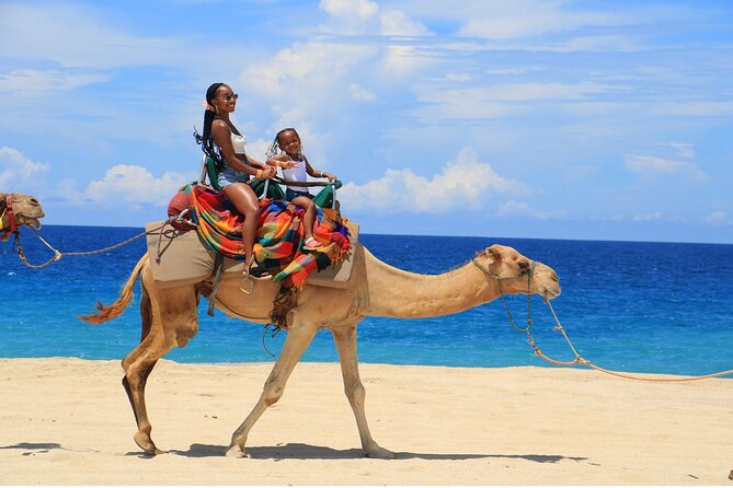 Combo 4X4 Automatic ATV & Camel Ride in Cabo by Cactus Tours Park - Participant Requirements